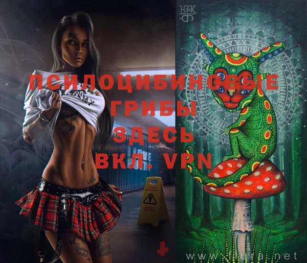 дурь Алексин