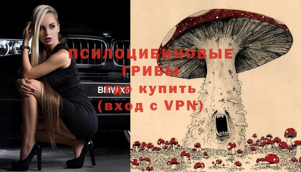 твердый Алексеевка