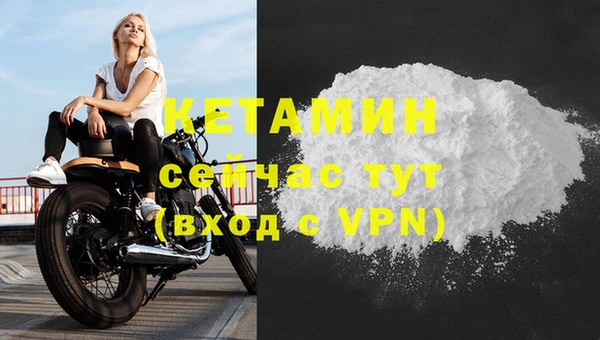 стафф Дмитровск