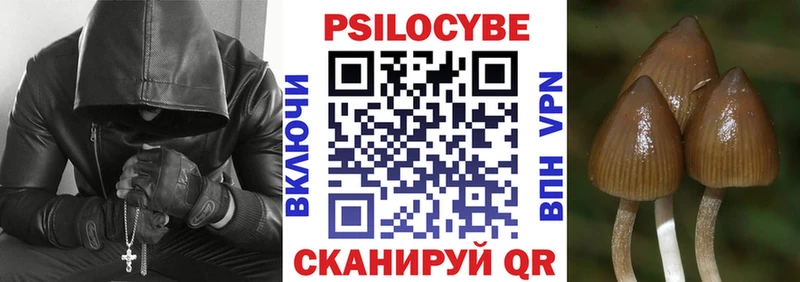 Галлюциногенные грибы Psilocybe  купить   Ахтырский 